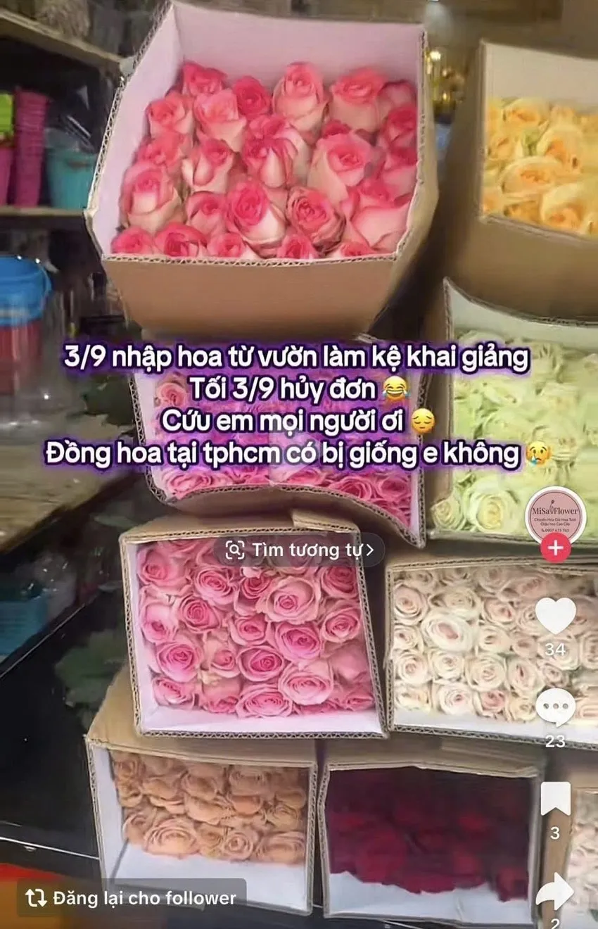 kinh doanh hoa .jpeg