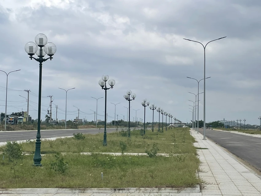 Khu vực trưng bày mai cảnh vào dịp tết ở xã Nhơn An, TX An Nhơn (Bình Định). Ảnh: THU DỊU z4895458255775_393c62262719732e10b68b531060a3d5.jpg