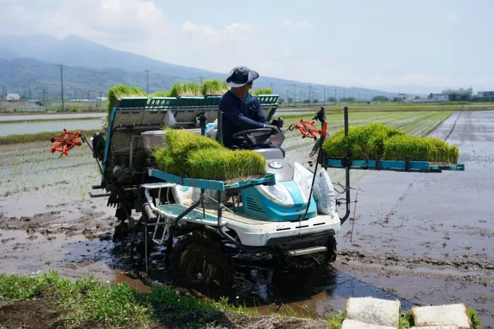 Nông dân Nhật chuyển sang sử dụng robot, áp dụng tự động hóa vào sản xuất để ứng phó với khủng hoảng lao động. Ảnh: FINANCIAL TIMES nong-nghiep-nhat-phai-doi-mat-voi-khung-hoang-lao-dong.jpg