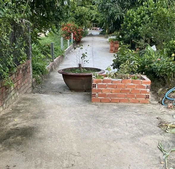 Bồn bê tông án giữa đường 2.jpg Bồn bê tông án giữa đường 2.jpg
