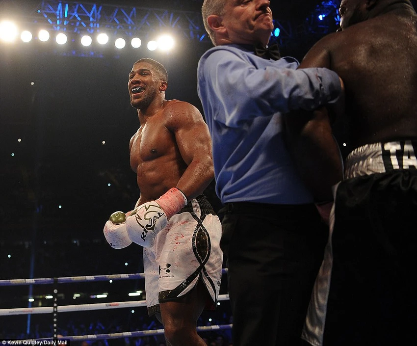 Kinh khủng Joshua toàn thắng 20 trận knock-out ảnh 19