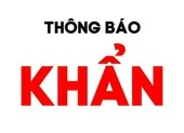Bộ Y tế thông báo khẩn số 40 