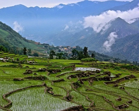 Ruộng bậc thang Sapa