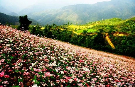 Núi rừng Hà Giang