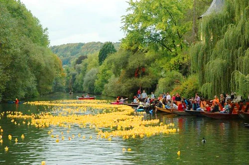 october-festivals-10-2.jpg