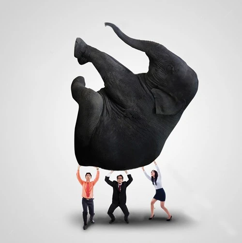 Khiêm nhường để thành công ảnh 1 Khiêm nhường để thành công ảnh 1