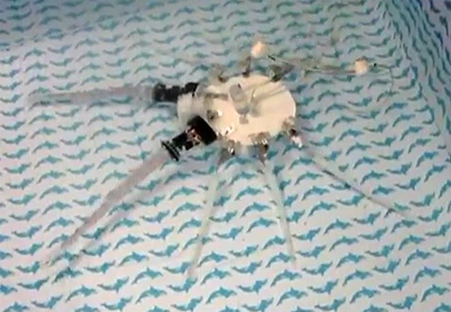 Loại robot này có 8 chân và thiết kế như hình dáng của một con bạch tuộc. Robot bạch tuộc thậm chí còn có thể ra đòn tấn công. Đây là thế hệ robot tiên tiến nhất trong lĩnh vực phát triển "robot mềm", làm từ vật liệu bền và mềmthay vìvật liệu truyền thống làkim loại và nhựa. Ảnh: spectrum.iee.org robo-octo-1333954844605-9839-1392179310.