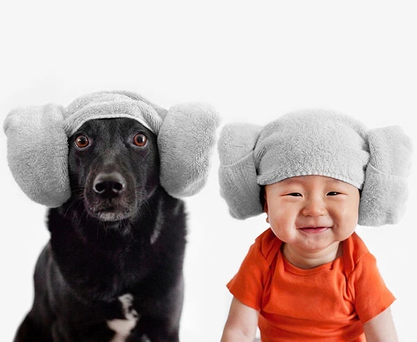 zoey-jasper-rescue-dog-baby-portraits-grace-chon-6 Cặp “song sinh” cún và baby cực đáng yêu ảnh 4