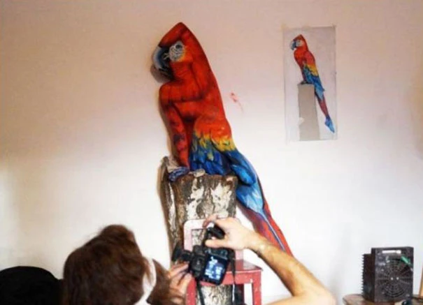 parrot-optical-illusion-body-art-johannes-stoetter-3 Độc đáo nghệ sĩ biến người thành vẹt ảnh 3