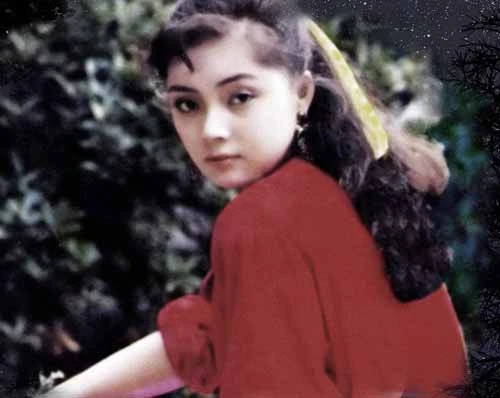 Trương Lợi (sinh năm 1965) không đóng nhiều phim. Chỉ với Tiết Bảo Thoa trong Hồng lâu mộng kinh điển, cô lưu dấu ấn khó phai trong lòng người hâm mộ. Trương Lợi (sinh năm 1965) không đóng nhiều phim nhưng