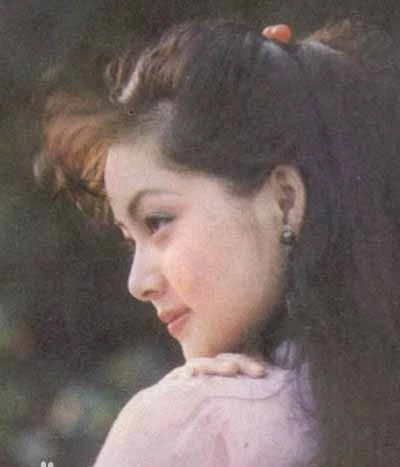 Sau Hồng lâu mộng, Trương Lợi tham gia một số phim khác. Từ năm 1988, cô theo học ở Đại học Thâm Quyến. Sau Hồng lâu mộng, Trương Lợi tham gia một số phim khác