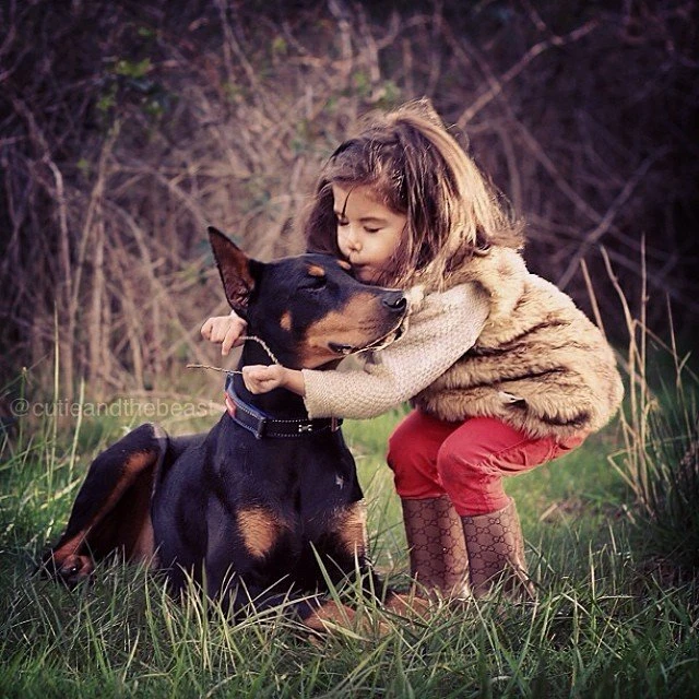 Bộ ảnh gây sốt về cô bé Sienna và chú chó Doberman ảnh 2 Bộ ảnh gây sốt về cô bé Sienna và chú chó Doberman ảnh 2