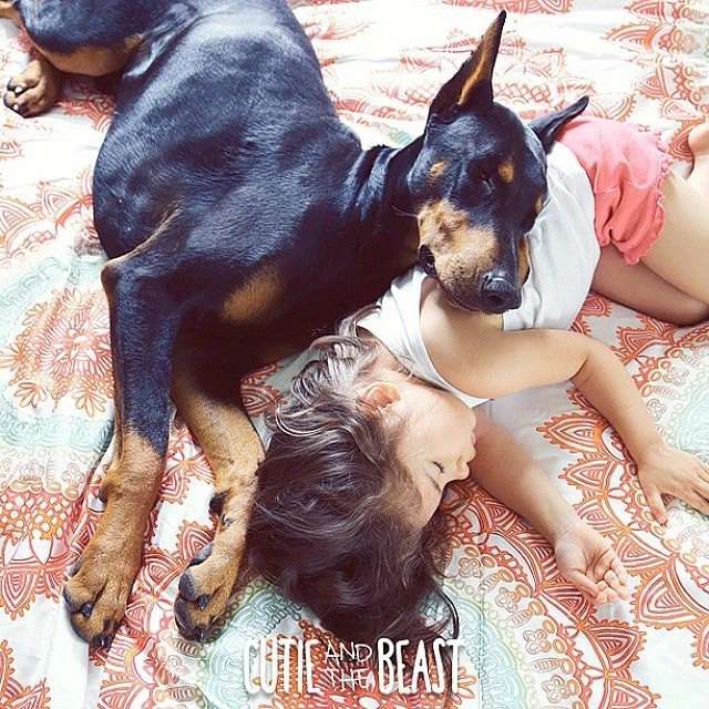 Bộ ảnh gây sốt về cô bé Sienna và chú chó Doberman ảnh 10 Bộ ảnh gây sốt về cô bé Sienna và chú chó Doberman ảnh 10