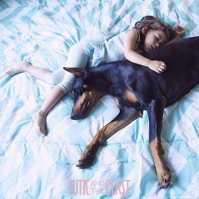 Bộ ảnh gây sốt về cô bé Sienna và chú chó Doberman ảnh 8 Bộ ảnh gây sốt về cô bé Sienna và chú chó Doberman ảnh 8