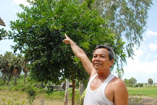 Nhập mô tả cho ảnh
