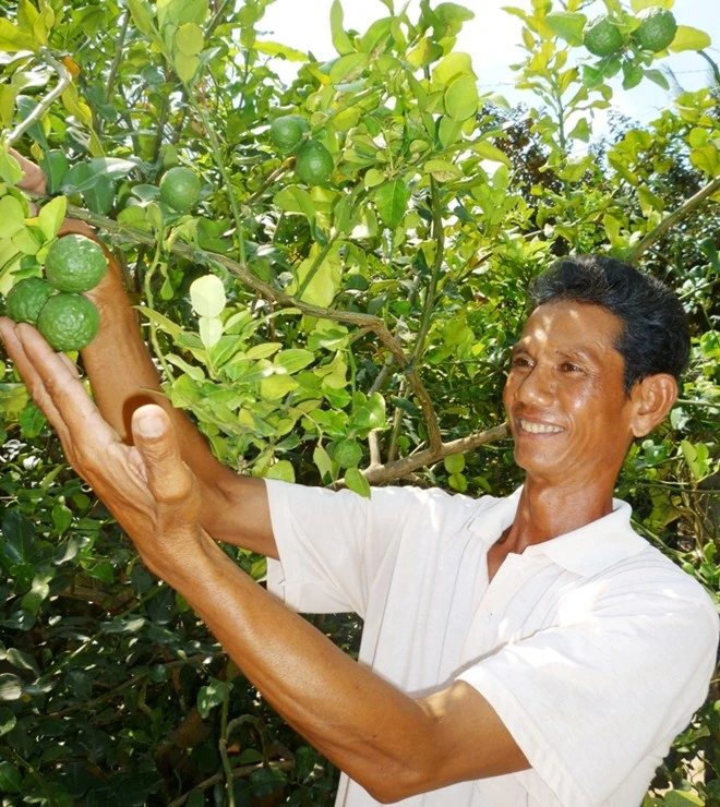 Nhập mô tả cho ảnh