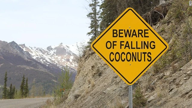 Những biển báo có một không hai trên cung đường Alaska ảnh 3
