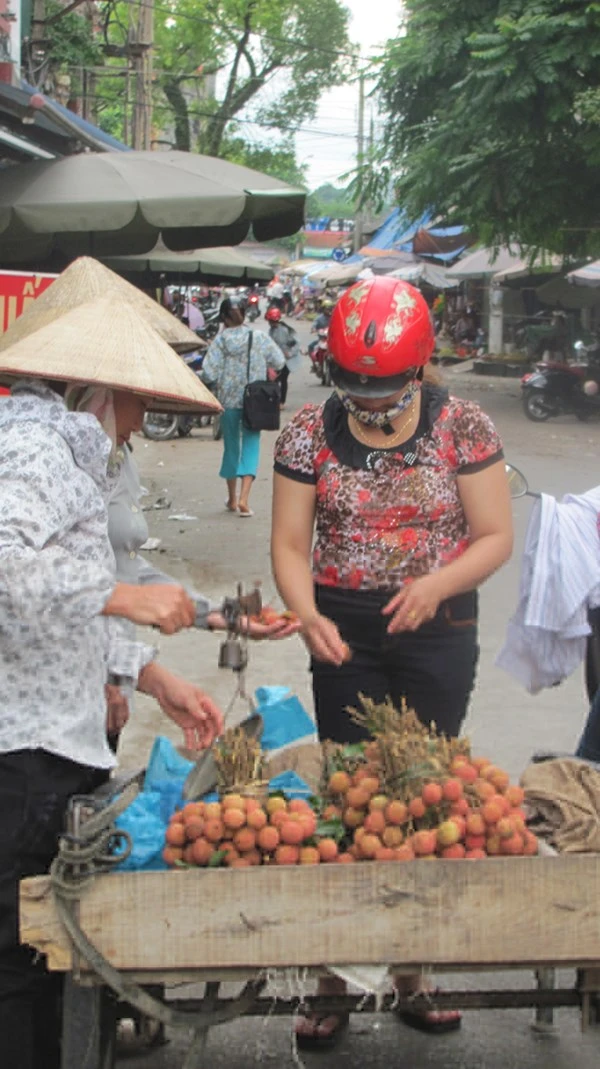 Quả vải Trung Quốc xâm nhập ngược vào Việt Nam ảnh 1