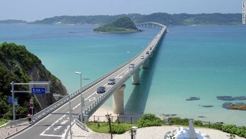 Độc đáo nghệ thuật ăn cá nóc của người Nhật ảnh 5 Độc đáo nghệ thuật ăn cá nóc của người Nhật ảnh 5