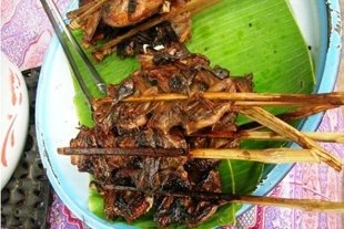 Những đặc sản 'sởn gai ốc' ở miền Tây ảnh 4 thit-d-i.jpg