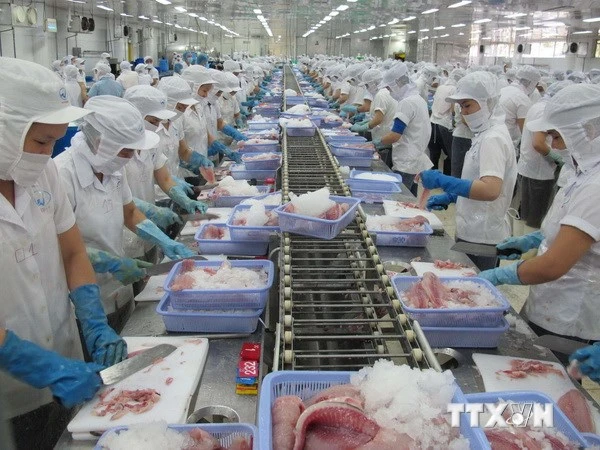 Việt Nam là quốc gia có nguồn cung thủy, hải sản hàng đầu thế giới ảnh 1 Việt Nam là quốc gia có nguồn cung thủy, hải sản hàng đầu thế giới ảnh 1