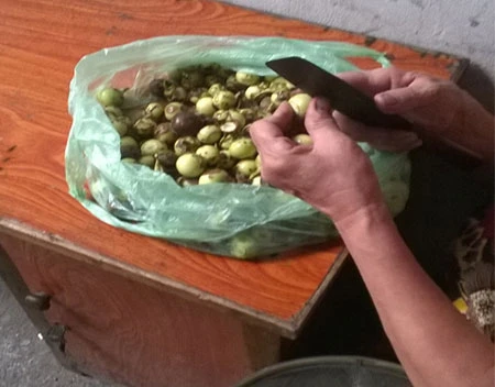 Từng quả cà thối được bà chủ gọt cắt phần hỏng rồi muối xổi. Từng quả cà thối được bà chủ gọt cắt phần hỏng rồi muối xổi.