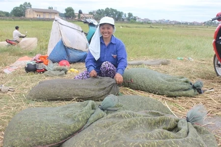 Xuân Sinh