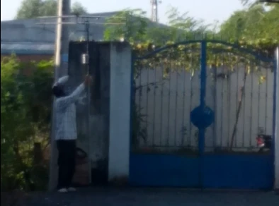 Tận diệt chim sẻ giữa lòng thành phố ảnh 1 Tận diệt chim sẻ giữa lòng thành phố ảnh 1
