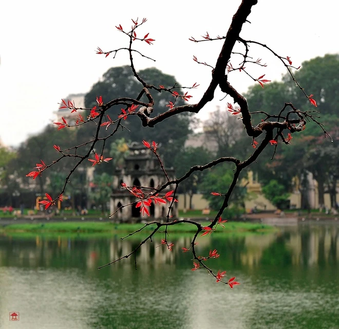 Hồ Gươm trong khoảnh khắc lạ thường ảnh 4