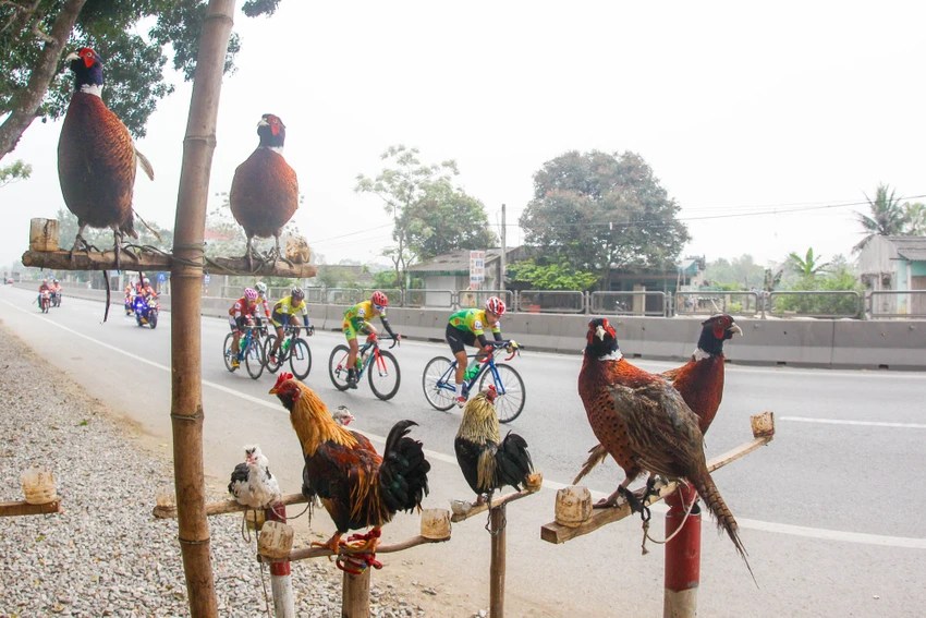 Lê Văn Duẩn lần đầu chạm tay vào chiến thắng ảnh 5 Lê Văn Duẩn lần đầu chạm tay vào chiến thắng ảnh 5