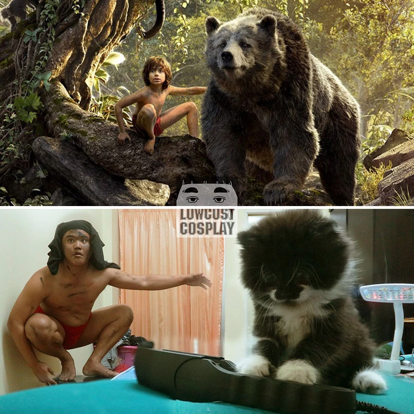 Gấu Baloo được thay thế bởi mèo