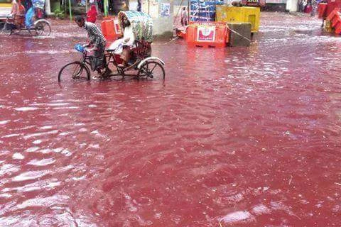 Xuất hiện dòng sông máu tại thủ đô Bangladesh ảnh 1