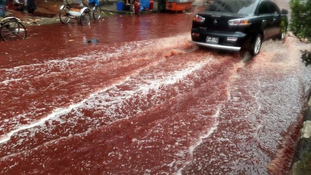 Xuất hiện dòng sông máu tại thủ đô Bangladesh ảnh 2