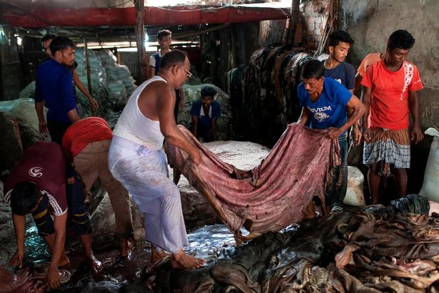 Xuất hiện dòng sông máu tại thủ đô Bangladesh ảnh 8