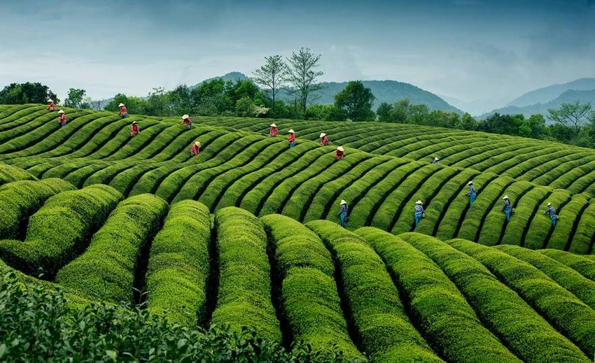 Việt Nam lọt top ảnh đẹp du lịch thế giới ảnh 2