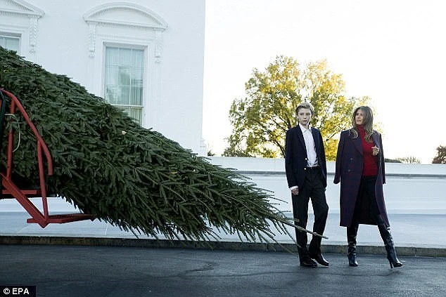 Giáng sinh đầu tiên của ông Trump tại Nhà Trắng có gì? ảnh 2