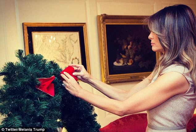 Giáng sinh đầu tiên của ông Trump tại Nhà Trắng có gì? ảnh 1