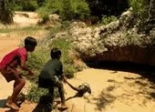 Clip: 2 bé trai dũng cảm giải cứu khỉ khỏi trăn khổng lồ