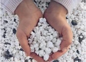 Kỳ lạ bãi biển chứa đầy bỏng ngô