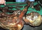 Giải mã hình xăm trên xác ướp Otzi 5.300 tuổi