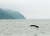 Bí ẩn quái vật hồ Loch Ness sắp có lời giải