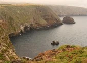 Cháy tàu ở California, 34 người chết