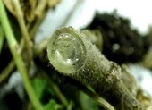 Thấu trời những tai nạn khó tin với ‘cậu bé’
