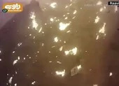 Khoảnh khắc máy bay Ukraine nổ tung sau khi bị Iran bắn rơi