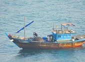 Dùng thuốc nổ đánh cá ngay trong vịnh Đà Nẵng?