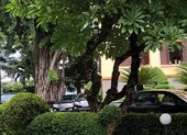 Bộ Công an làm việc đột xuất với Thành ủy Đà Nẵng