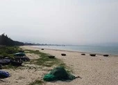 Lấn vịnh Đà Nẵng như Dubai được không? 