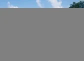 Đà Nẵng báo cáo Thủ tướng vụ hủy kết quả đấu giá với Vipico