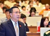 Đại biểu Quốc hội lo xuất hiện những Vũ 'nhôm' mới 