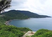 TTCP làm việc về các dự án ở bán đảo Sơn Trà